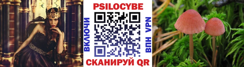 МЕГА маркетплейс  Фёдоровский  Псилоцибиновые грибы ЛСД 